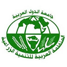 المنظمة العربية للاستثمار